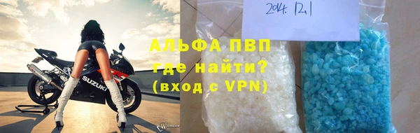 сатива Кинешма