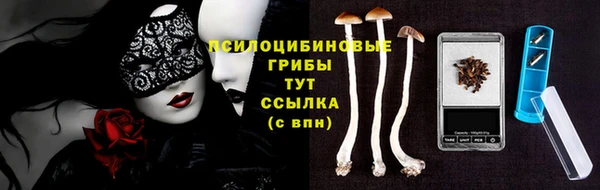 сатива Кинешма