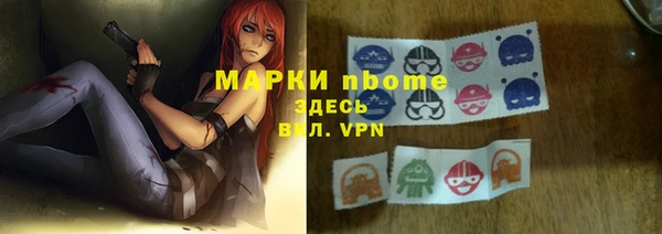сатива Кинешма