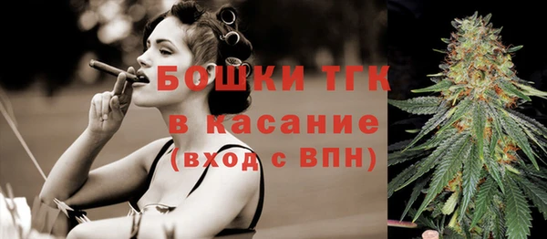 сатива Кинешма